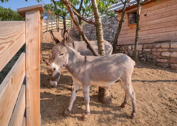 Agritur Maso Librar